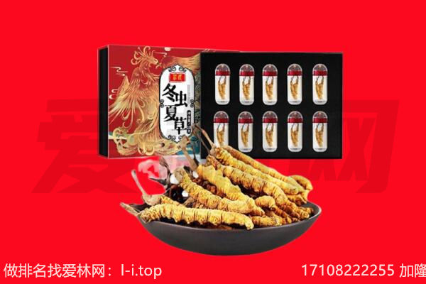 崇左市宁明回收虫草.jpg